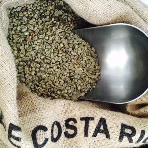Quest Coffee Cafe de Costa Rica organic unroasted green Arabica coffee in hessian bag ready for roasting.