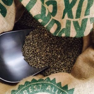 Green organic Arabica coffee from Guatemala.