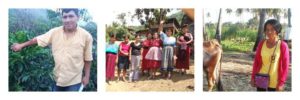 Kiva; June update