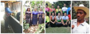 Kiva; July update