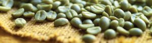 The 5 differences between Arabica and Robusta Coffee Beans