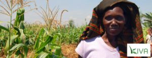 Kiva: February update